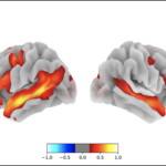 How our thoughts produces language and thought, based mostly on neuroscientists